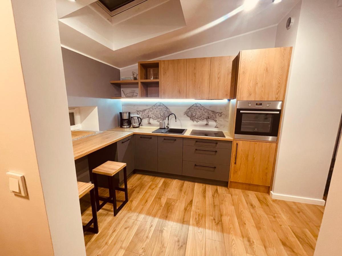 Apartamenty Ktw Kosciuszki 41 - Sky & Design Katowice Eksteriør billede